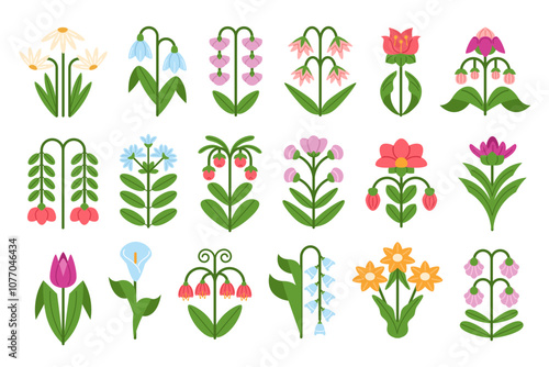 Abstract flowers. Symmetrical floral doodles, spring snowdrop, daisies, tulips and bluebells plants with flower and leaves. Botanical decorations vector illustrations set.