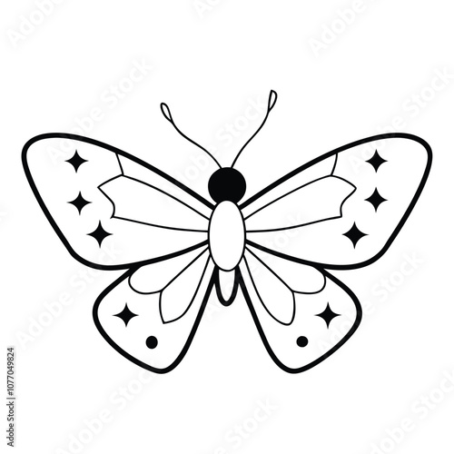 Silver-spotted Skipper butterfly vector illustrations on a white background.