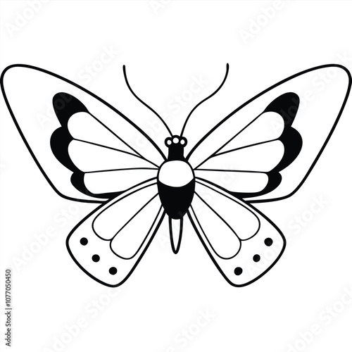 Silver-spotted Skipper butterfly vector illustrations on a white background.