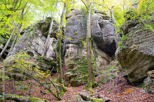 Mullerthal trail in Luxembourg between Echternach and Berdorf, hiking through a forest with sandstone rock formations photo