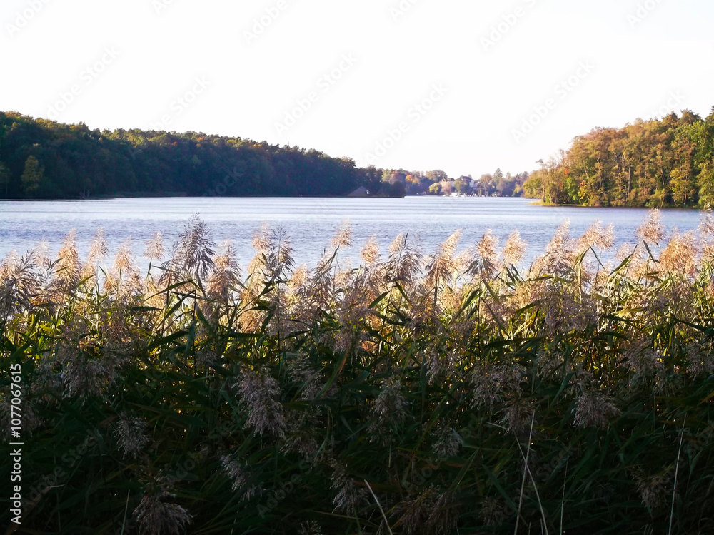 Ein See am Morgen im Herbst in der Uckermark