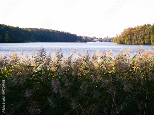 Obraz na płótnie Ein See am Morgen im Herbst in der Uckermark w salonie