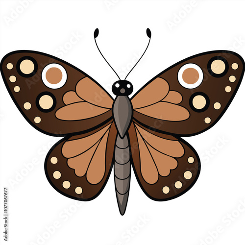 Speckled Wood butterfly vector illustrations on a white background.