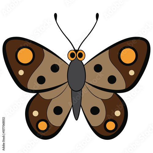 Speckled Wood butterfly vector illustrations on a white background.