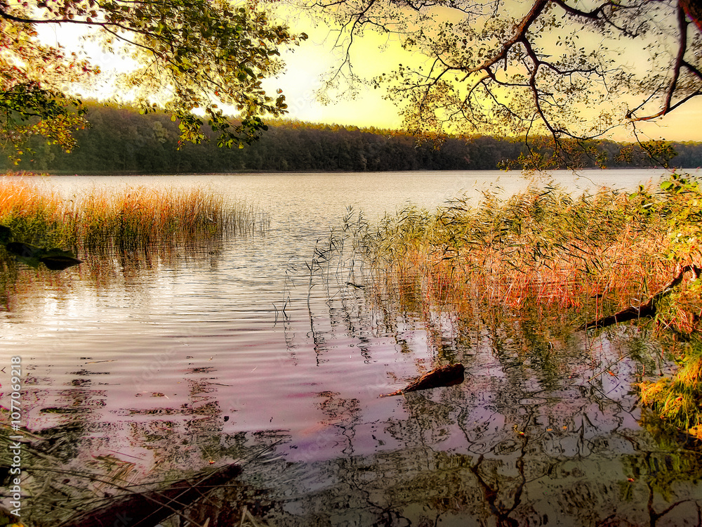 Ein See am Morgen im Herbst in der Uckermark