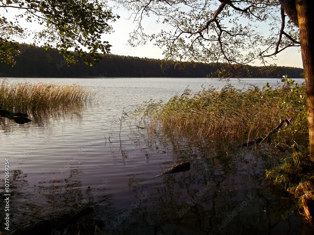Ein See am Morgen im Herbst in der Uckermark