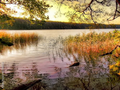 Obraz na płótnie Ein See am Morgen im Herbst in der Uckermark w salonie