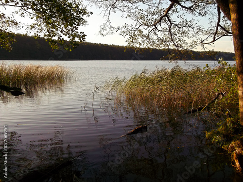 Obraz na płótnie Ein See am Morgen im Herbst in der Uckermark w salonie