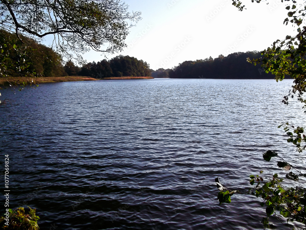 Ein See am Morgen im Herbst in der Uckermark
