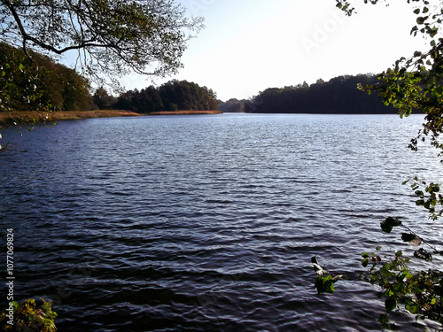 Obraz na płótnie Ein See am Morgen im Herbst in der Uckermark w salonie