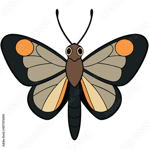 Spicebush Swallowtail butterfly vector illustrations on a white background.