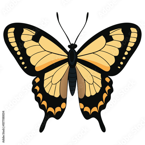 Swallowtail butterfly vector illustrations on a white background.