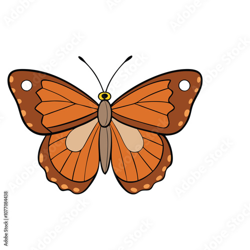 Tawny Emperor butterfly vector illustrations on a white background.