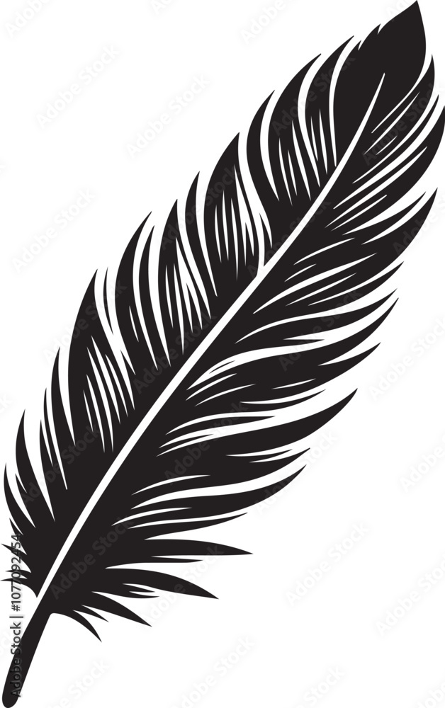 Obraz premium Feather Vector