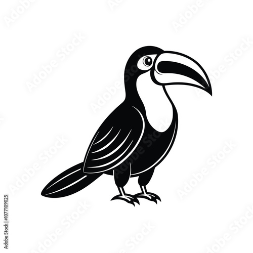 The image depicts a Toucan silhouette against a pristine white backdrop.