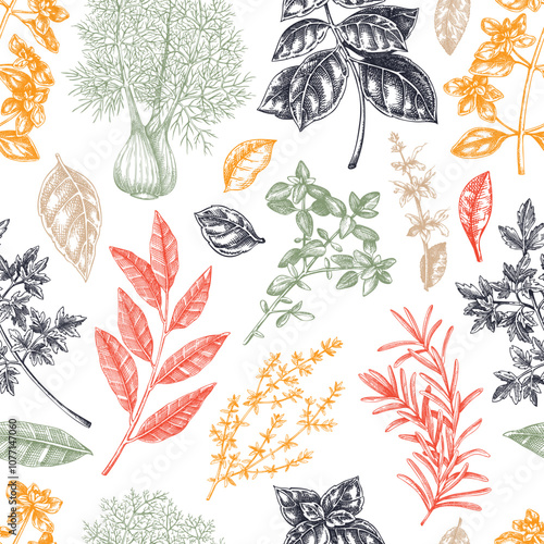 Spice seamless pattern. Italian cuisine background. Basil, mint, rosemary, parsley, sage, bay leaf, fennel sketches. Kitchen spices hand-drawn vector illustration. NOT AI generated