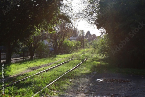 Rails d'une ancienne voie de chemin de fer, ville d'Arles, département des Bouches-du-Rhône, France photo