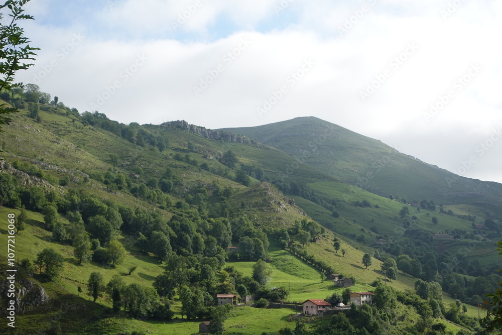 Naklejka premium cantabria 2024