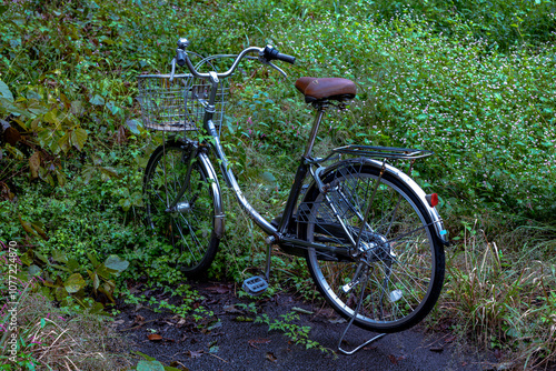 Old Bicycle Left Abandoned on a Path Overgrown with Vegetation in a Forested Area Near Shima Onsen (Gunma, Japan – October 2024) photo