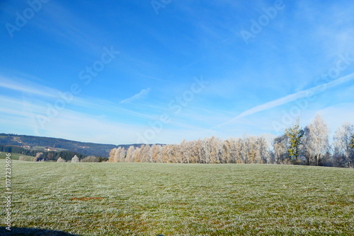 Hecke im Raureif, Joglland  photo