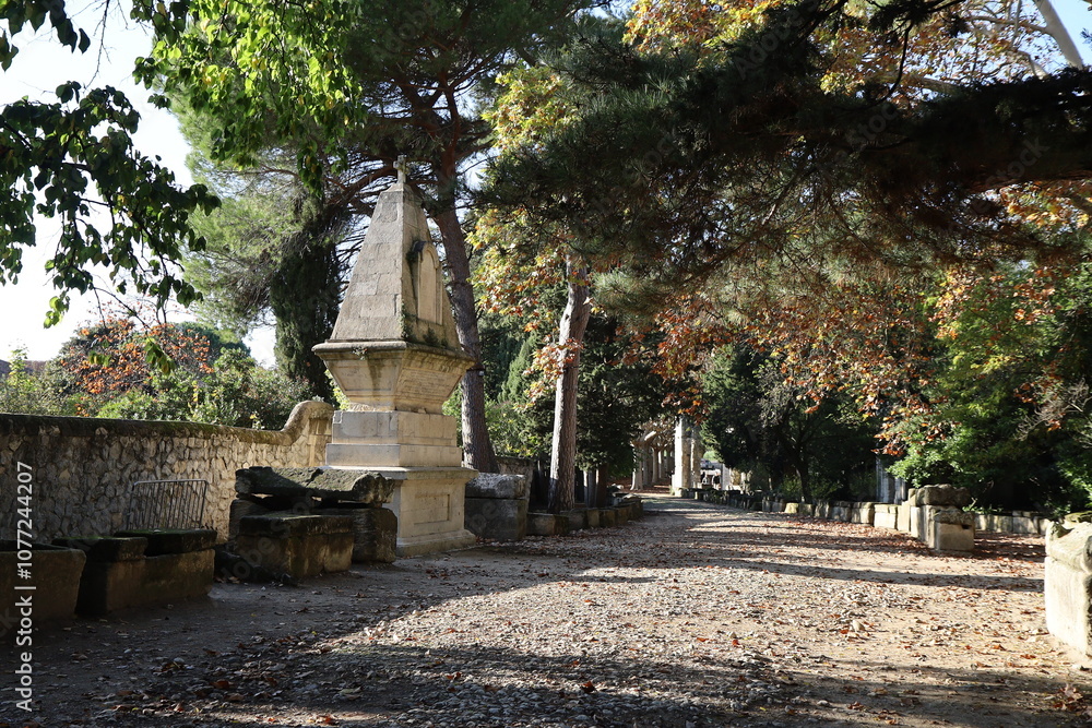 Fototapeta premium Les Alyscamps, nécropole païenne puis chrétienne, ville d'Arles, département des Bouches-du-Rhône, France