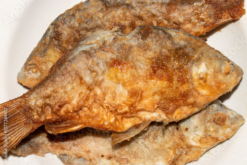 Fried crucian fish.Crucian carp fried in oil.Fried river fish.Fried fish background.