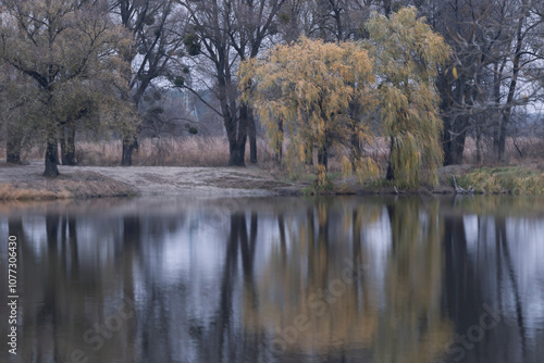 Autumn landscape with bright colors of leaves