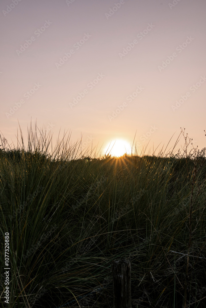 Fototapeta premium Vlissingen the Netherlands pretty travel beach coast grass