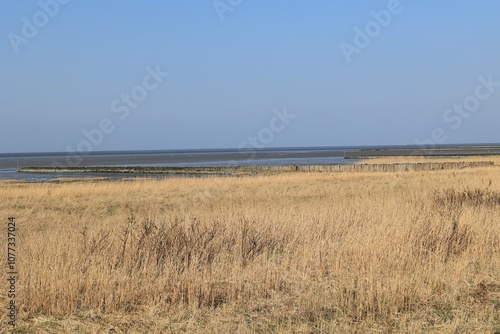 Blick auf die Küstenlandschaft bei Cuxhaven an der Nordsee photo