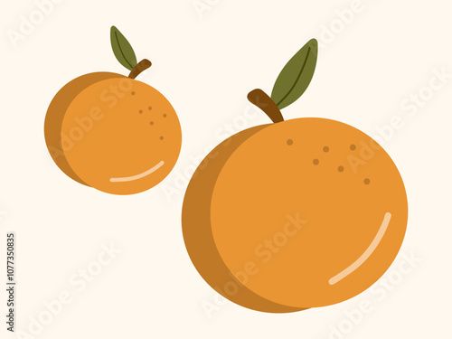 Two oranges close-up. Fruits, berries, healthy food, proper nutrition. Vector illustration