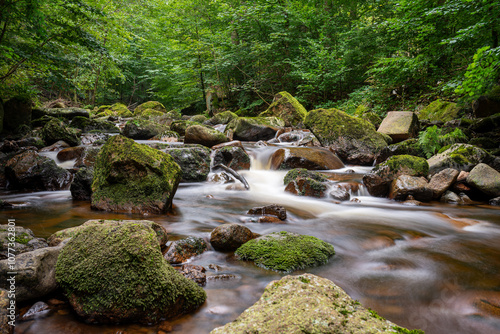 stream in the forest photo