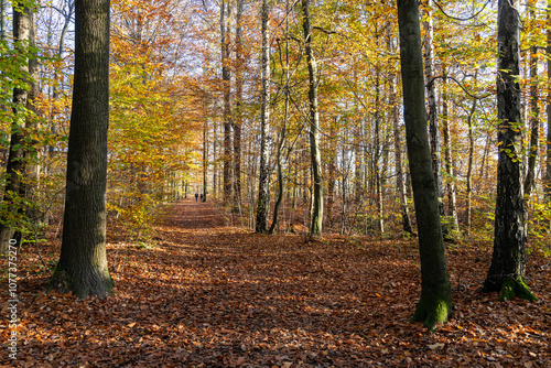 Herbstimpressionen aus der sächsischen Schweiz