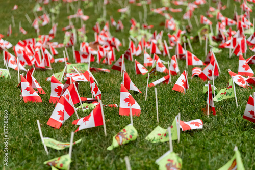 Flags at Sunnybrook Hospital to honour the veterans on Remembrance day  photo