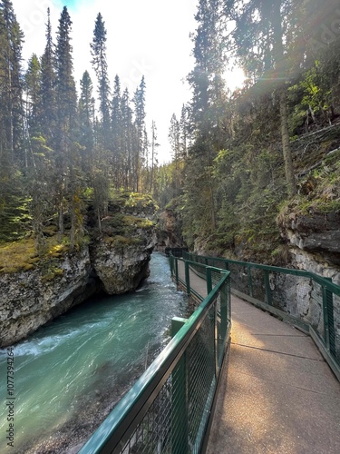 bridge over the river