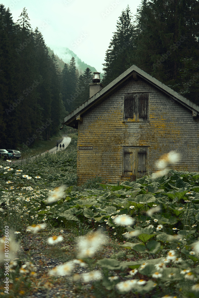 Secluded wooden house surrounded by blooming flowers and dense forest on a misty day Secluded wooden house surrounded by blooming flowers and dense forest on a misty day