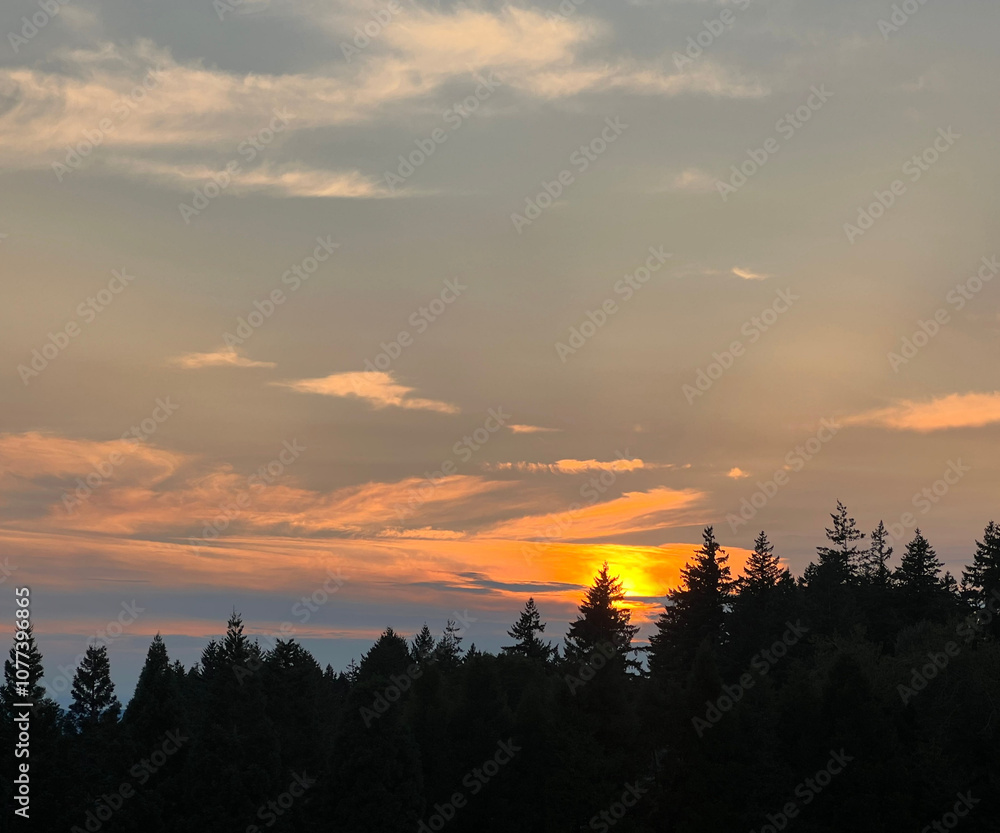 Fototapeta premium orange clouds with pine trees