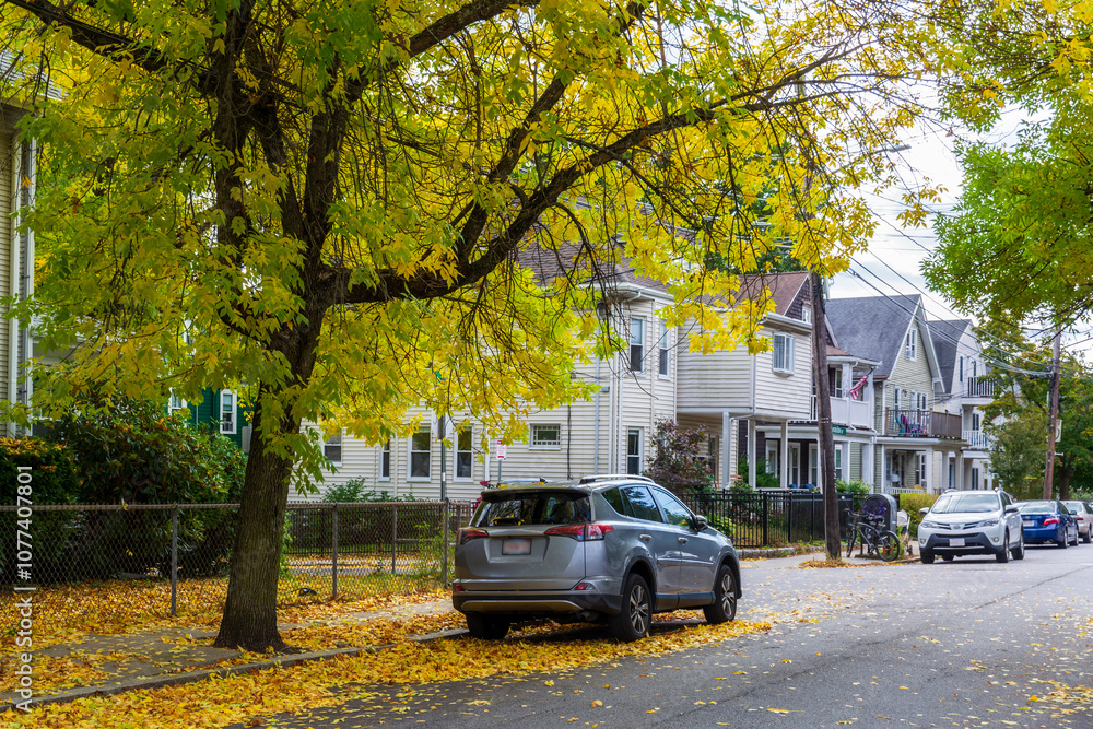 Residential street with lush autumn foliage in Brighton, Massachusetts, USA