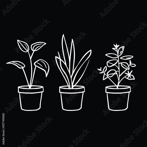 Minimalistic white line illustration of three potted plants against a black background, showcasing simple botanical designs.