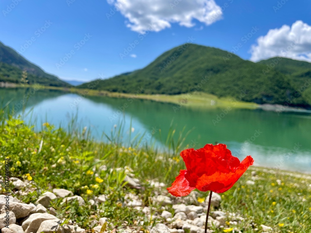 Obraz premium lake and mountains