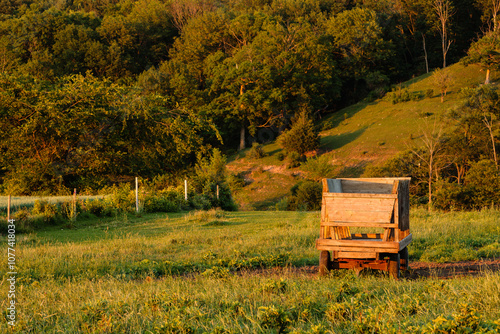 With the bordering fence separating fields, a lone farm feeding wooden wagon stands empty in the evening summer sunshine in the pasture near Hartford, Wisconsin