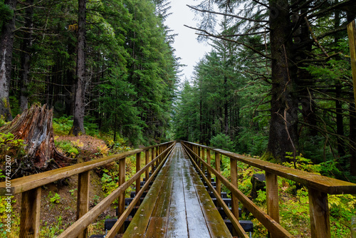 Bridge in the forest of Juneau, Alaska pacific northwest rainforest climate with bright evergreen trees photo