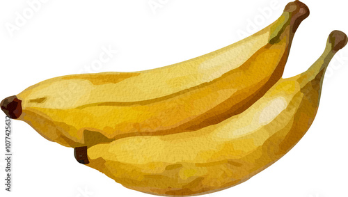 Banana Watercolor Isolated on White Background