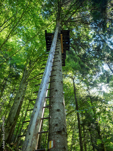 Zip line post at Sapte Scari canyon, Romania photo