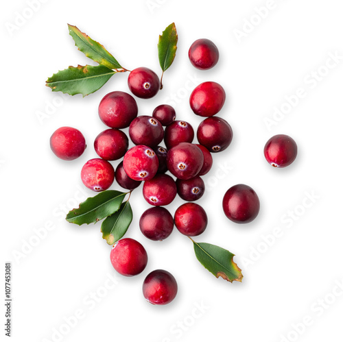Fresh cranberries with green leaves isolated transparent background