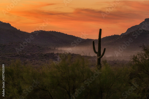 Sunsrt in the Sonoran Desert