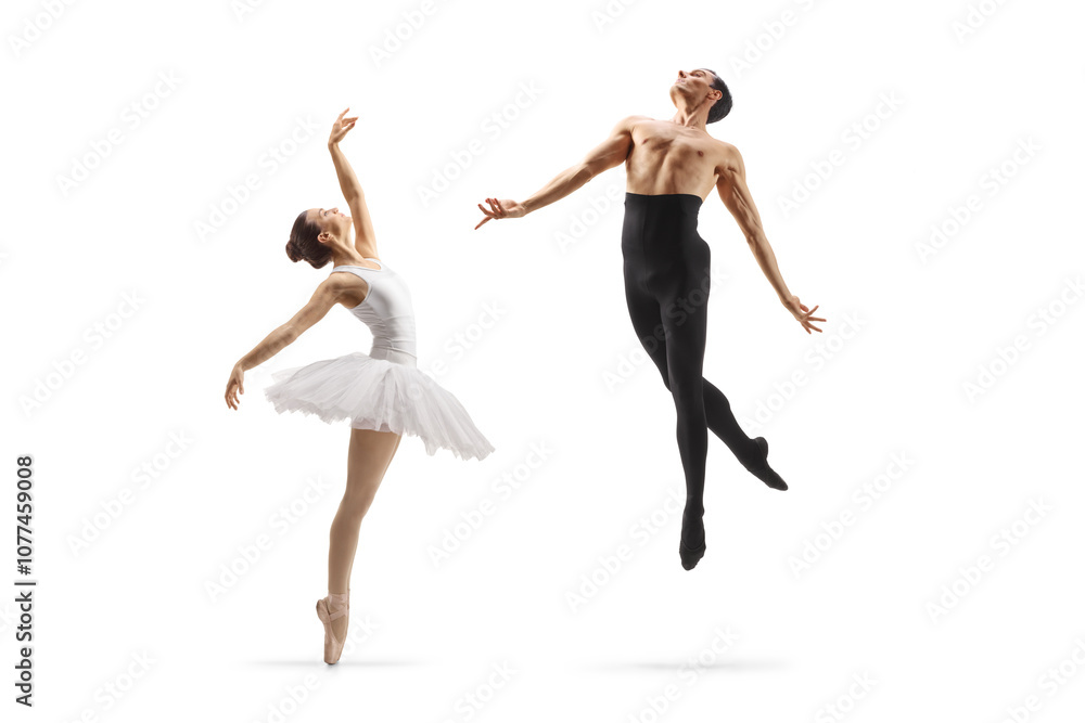 Professional ballet dancers performing Professional ballet dancers performing