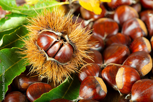 Chestnuts with leaves and burs on a wooden table