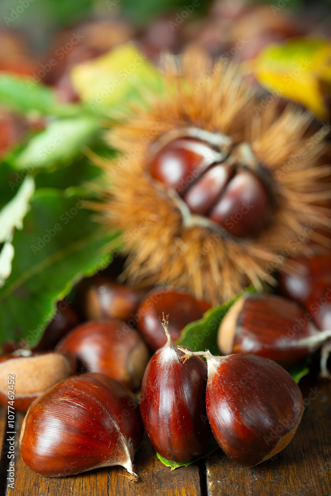 Chestnuts with leaves and burs on a wooden table Chestnuts with leaves and burs on a wooden table