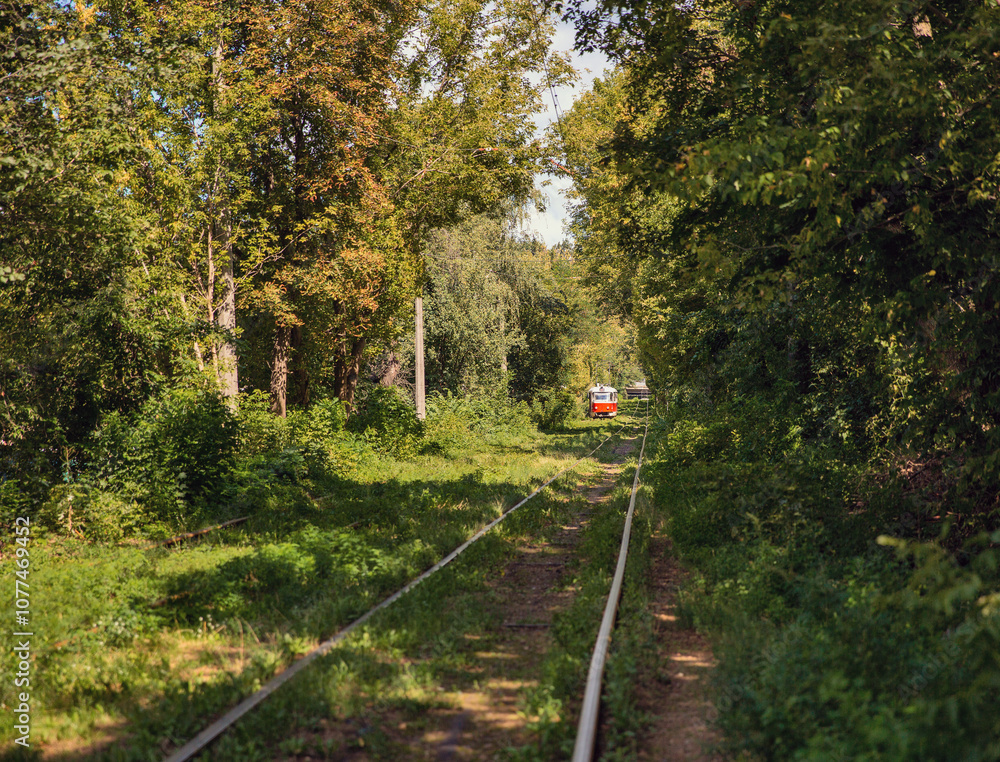 Long tram tracks running through the forest. Long tram tracks running through the forest.