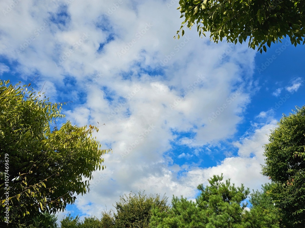Obraz premium 하늘, 구름, 푸름, 자연, 맑음, Sky, Clouds, Blue, Nature, Clear